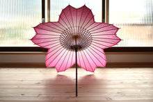 画像をギャラリービューアに読み込む, 即納|日傘【桜和傘ソメイヨシノ(麻の葉・七宝)】