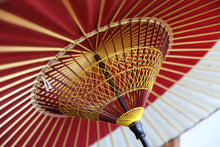 画像をギャラリービューアに読み込む, 蛇の目傘【月奴 赤×七夕】(軒黒)(木柄)