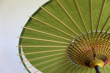 画像をギャラリービューアに読み込む, 日傘【月奴 鶯×花柄】