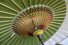 画像をギャラリービューアに読み込む, 日傘【月奴 鶯×花柄】