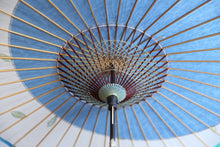 画像をギャラリービューアに読み込む, 日傘【月奴 水色×藍の葉】