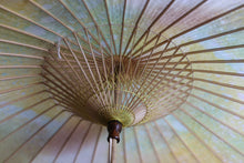 画像をギャラリービューアに読み込む, 日傘【網代軒奴 かすみ染め(パステル)×黒柿】 - 和傘CASA