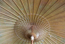 画像をギャラリービューアに読み込む, 日傘【網代二重張 黒柿×かすみ染め】