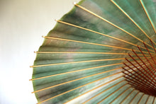 画像をギャラリービューアに読み込む, 蛇の目傘【かすみ染め(グリーン系)】