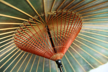 画像をギャラリービューアに読み込む, 蛇の目傘【かすみ染め(グリーン系)】