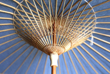 画像をギャラリービューアに読み込む, 日傘【空色】