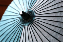 画像をギャラリービューアに読み込む, 日傘【水色×水色】