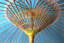 画像をギャラリービューアに読み込む, 日傘【水色(軒カラフルB)】