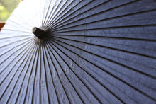 画像をギャラリービューアに読み込む, 日傘【空色】(木柄カシュ―漆) - 和傘CASA