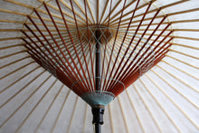 画像をギャラリービューアに読み込む, 蛇の目傘【胡粉(軒水色)】