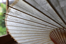 画像をギャラリービューアに読み込む, 蛇の目傘【胡粉(軒橙)】 - 和傘CASA