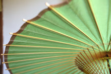 画像をギャラリービューアに読み込む, 蛇の目傘【黄緑】