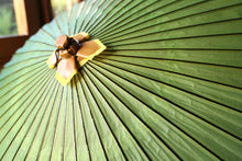 画像をギャラリービューアに読み込む, 蛇の目傘【黄緑】