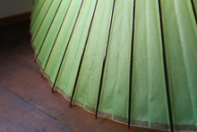 画像をギャラリービューアに読み込む, 蛇の目傘【黄緑】