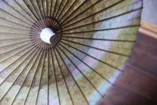 画像をギャラリービューアに読み込む, 日傘【二重張 ムラ染 グリーン系×白】