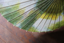 画像をギャラリービューアに読み込む, 日傘【二重張 ムラ染 ライム×白】