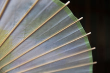 画像をギャラリービューアに読み込む, 日傘【二重張 ムラ染 ライム×白】