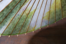 画像をギャラリービューアに読み込む, 日傘【二重張 ムラ染 ライム×白】