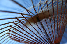 画像をギャラリービューアに読み込む, 蛇の目傘【石徹白藍染2026 軒奴】 - 和傘CASA