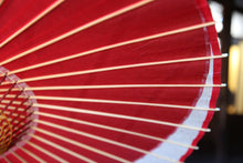 将图片加载到图库查看器,蛇の目傘【月奴 赤×七夕】(木柄) - 和傘CASA