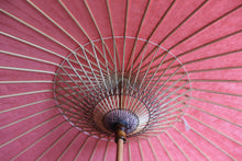 画像をギャラリービューアに読み込む, 日傘【網代軒奴 ピンク×かすみ染め】