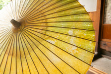 画像をギャラリービューアに読み込む, 日傘【二重張 かすみ染め 菜の花×白】