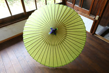 画像をギャラリービューアに読み込む, 蛇の目傘【若草】 - 和傘CASA