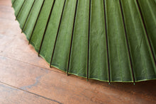 画像をギャラリービューアに読み込む, 蛇の目傘【無地 鶯】