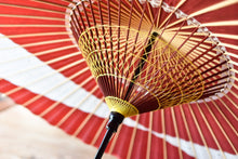 将图片加载到图库查看器,蛇の目傘【交叉 赤×七夕】 - 和傘CASA