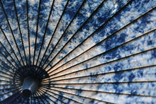 画像をギャラリービューアに読み込む, 日傘【網代軒奴 ギャラクシー×白】