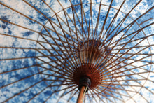 画像をギャラリービューアに読み込む, 日傘【網代軒奴 ギャラクシー×藍染】