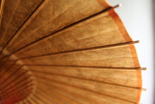 Load image into Gallery viewer, 蛇の目傘【柿渋染(黒柿)】 - 和傘CASA