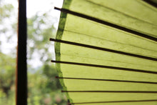 画像をギャラリービューアに読み込む, 蛇の目傘【若草】 - 和傘CASA