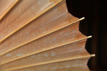 画像をギャラリービューアに読み込む, 日傘【網代 かすみ染め オレンジピンクⅡ】 - 和傘CASA