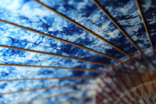 Load image into Gallery viewer, 蛇の目傘【ギャラクシー48】 - 和傘CASA