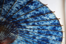 Load image into Gallery viewer, 蛇の目傘【ギャラクシー48】 - 和傘CASA