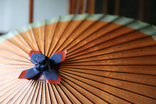 将图片加载到图库查看器,Janome 雨伞【柿涩×霞染(绿)Ⅱ】