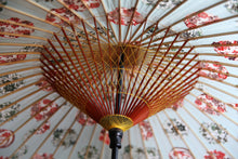 画像をギャラリービューアに読み込む, 蛇の目傘【四君子アクアブルー】 - 和傘CASA