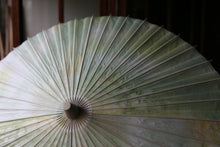 画像をギャラリービューアに読み込む, 日傘【二重張 かすみ染め グリーンイエロー】