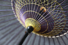 画像をギャラリービューアに読み込む, 日傘【黒 雲龍】