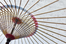 将图片加载到图库查看器,日傘【軒ぼかし 赤紺】 - 和傘CASA