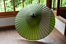 画像をギャラリービューアに読み込む, 蛇の目傘【縞帯　鶯×緑ストライプ】
