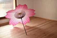 画像をギャラリービューアに読み込む, 即納｜日傘【桜和傘ソメイヨシノ（麻の葉・七宝）】
