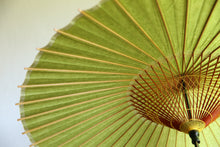 画像をギャラリービューアに読み込む, 蛇の目傘【グリーン】
