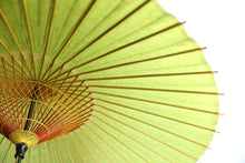 画像をギャラリービューアに読み込む, 蛇の目傘【グリーン】
