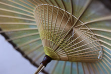 画像をギャラリービューアに読み込む, 日傘【網代軒奴　かすみ染め（パステル）×黒柿】 - 和傘CASA
