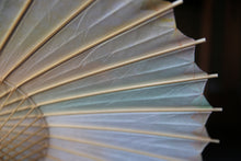 Cargar imagen en el visor de la galería, Sombrilla [Ajiro Kasumi Dyed Green Colorful]
