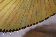 画像をギャラリービューアに読み込む, 日傘【網代二重張 黒柿×かすみ染め】
