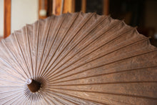 画像をギャラリービューアに読み込む, 日傘【網代二重張 黒柿×かすみ染め】
