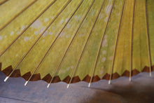 画像をギャラリービューアに読み込む, 日傘【網代二重張 柿渋×かすみ染め】 - 和傘CASA
